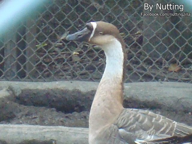 DSC04014.JPG